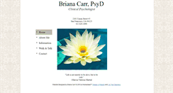 Desktop Screenshot of drbrianacarr.com